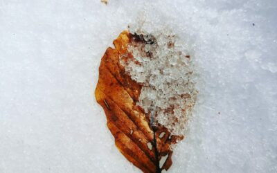La neve ci insegna il valore dell’attesa