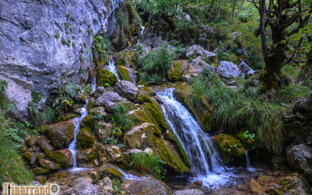 Riprendersi la lentezza: la pace, il bosco e l’eremo del Caùto