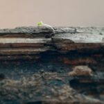 Blog thumbnail