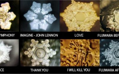 Masaru Emoto e la memoria dell’acqua