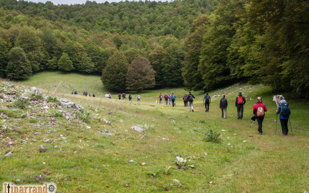 Camminare in natura rende forti e allora cammina e difenditi rinforzandoti!