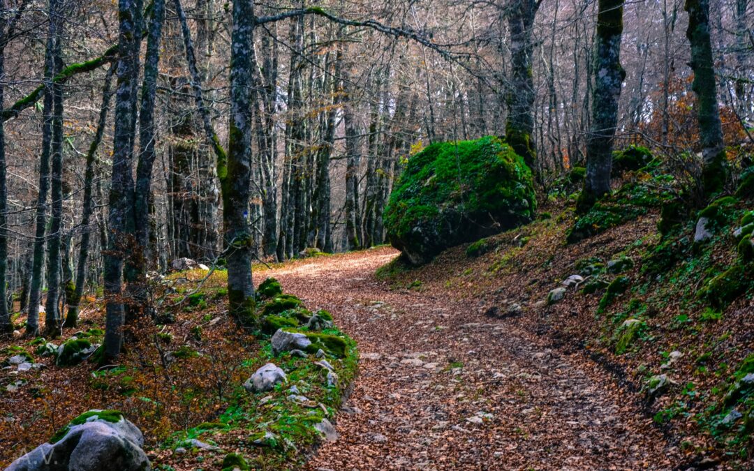 Benvenuto autunno meteorologico, il significato della parola “Autunno”