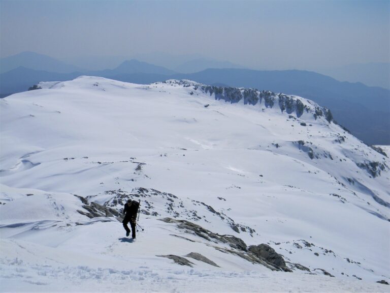 Blog thumbnail image
