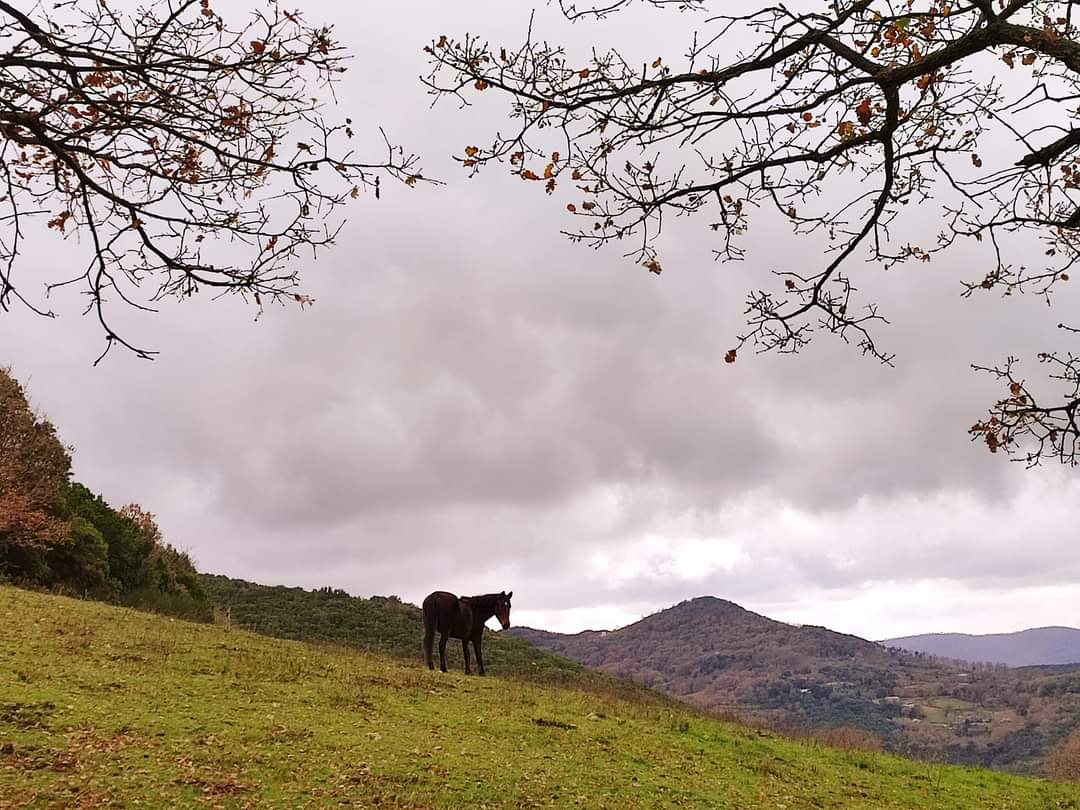 Itinarrando - Tolfa