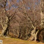 Blog - Itinarrando - Autore