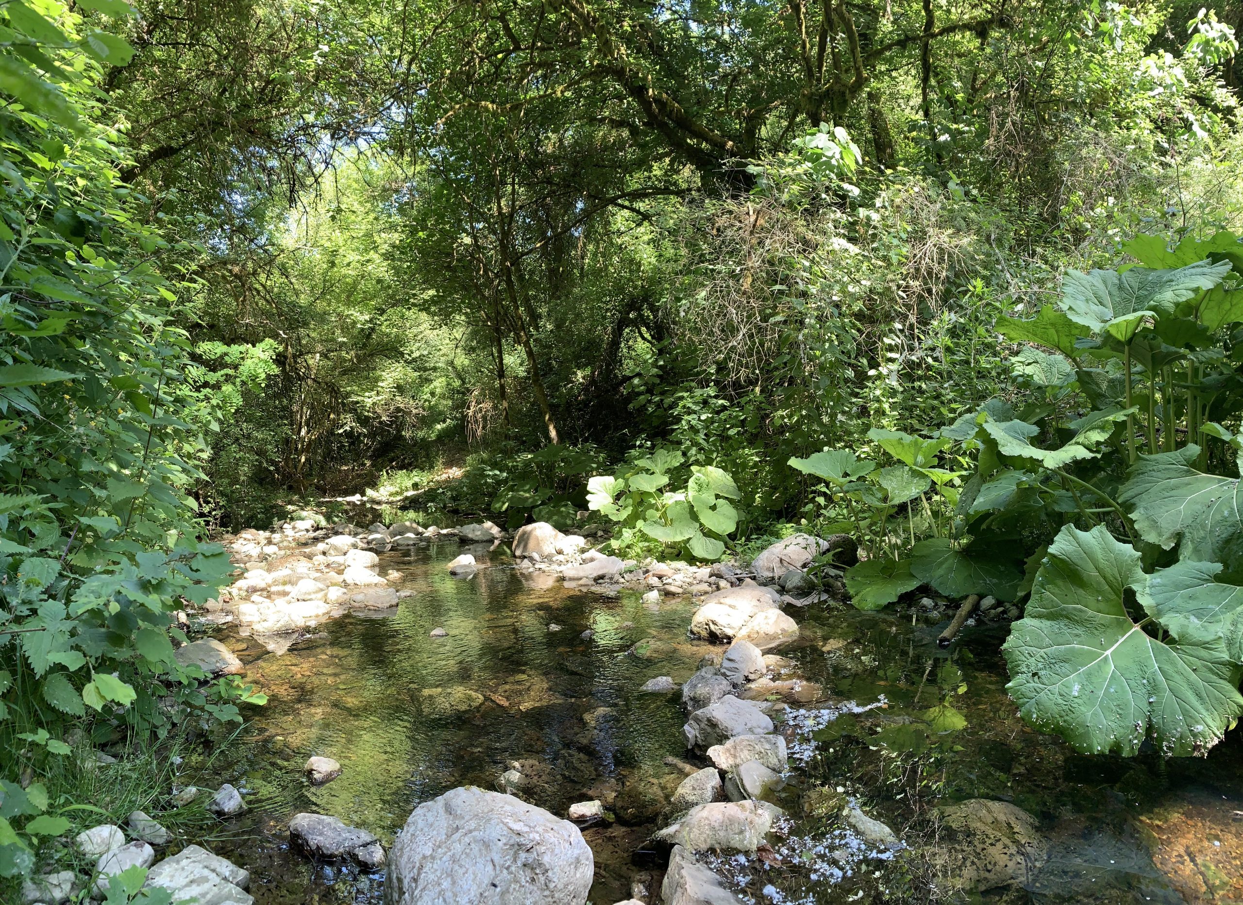 ITINARRANDO-BIEDANO