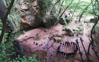 La natura nuoce gravemente a chi ti vuole zitto e obbediente