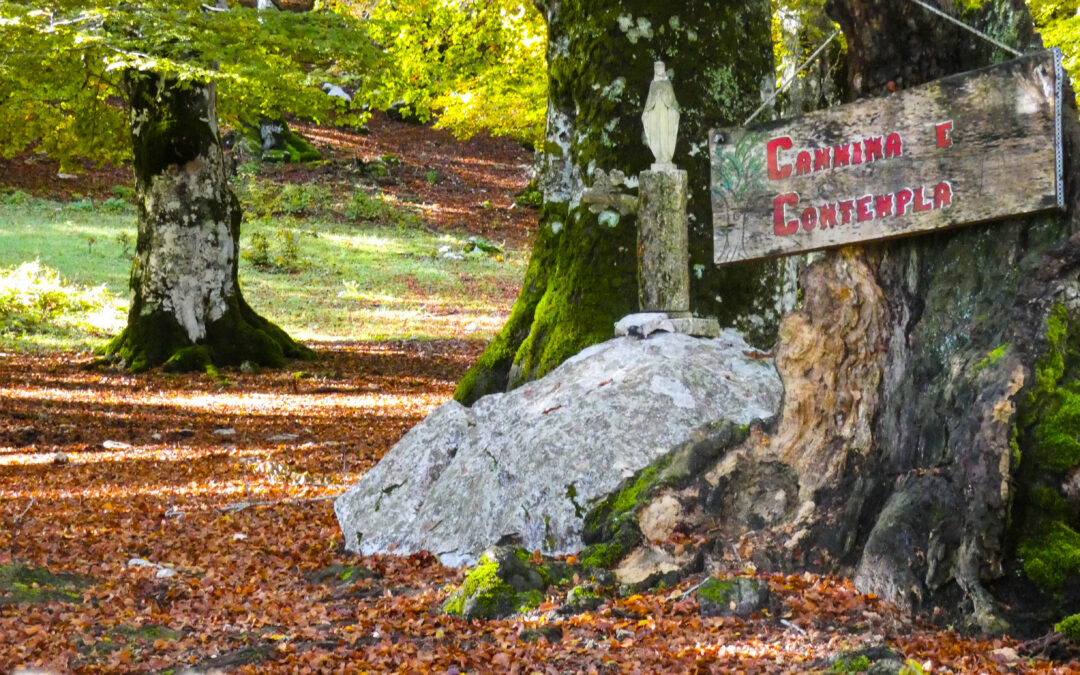 Il Bosco della Difesa, l’Abruzzo in un giorno di Ottobre