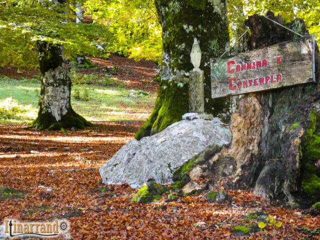 Il Bosco della Difesa, l’Abruzzo in un giorno di Ottobre