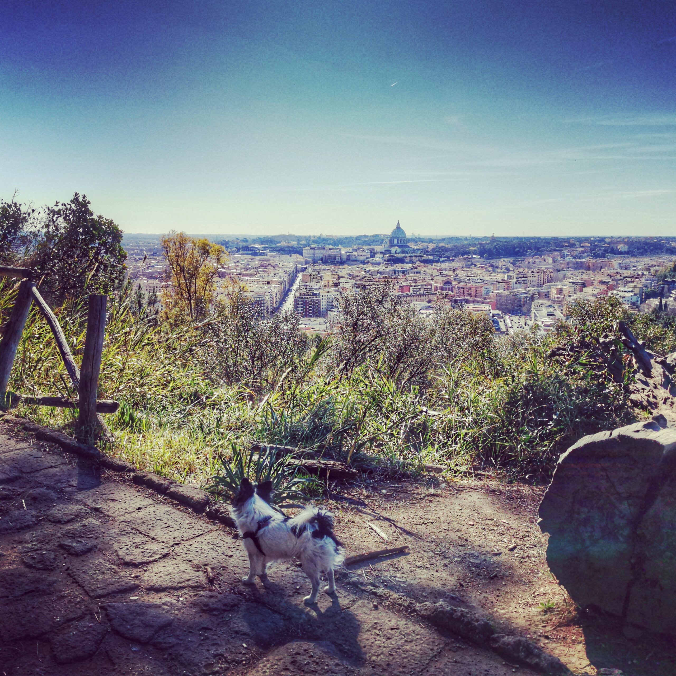 Itinarrando - Francigena