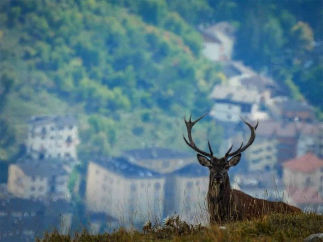 Itinarrando - Crea il tuo viaggio - 02
