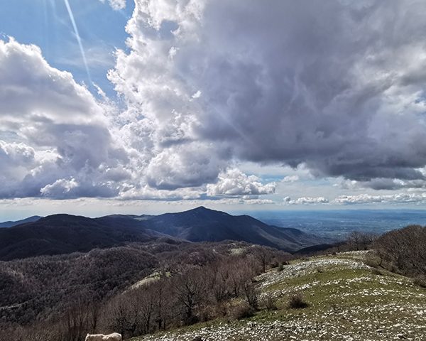 Itinarrando - Escursioni - Monte Pellecchia