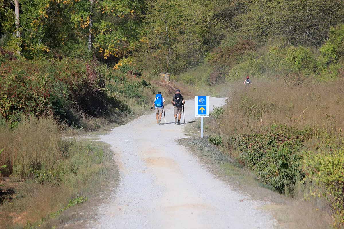 Itinarrando - Cammino Francese da Ponferrada - Gallery - 10