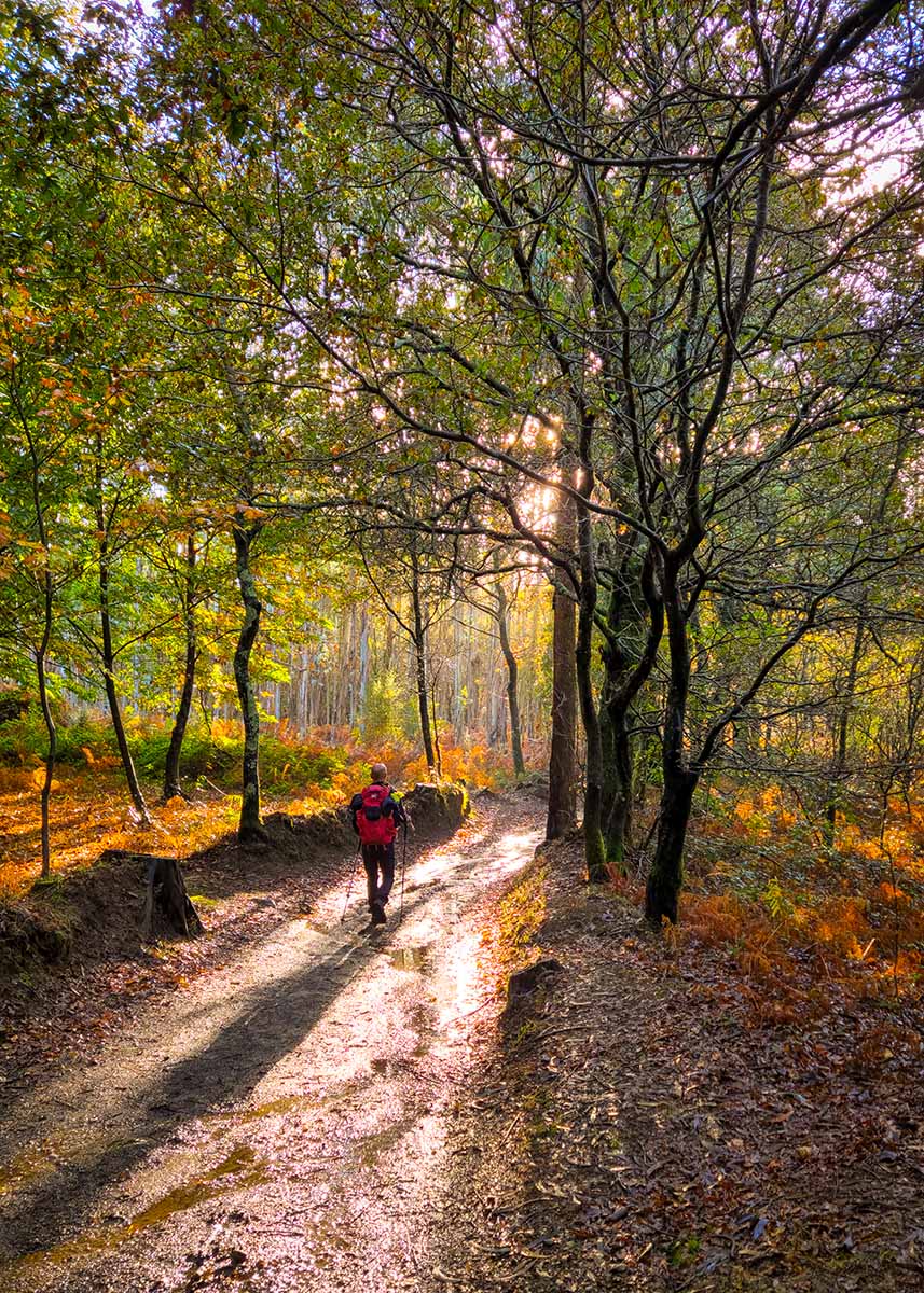 Itinarrando - Cammino Francese da Sarria - Gallery - 02