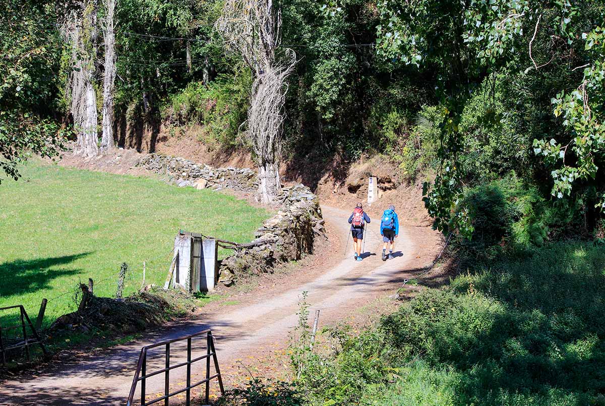 Itinarrando - Cammino Francese da Sarria - Gallery - 07