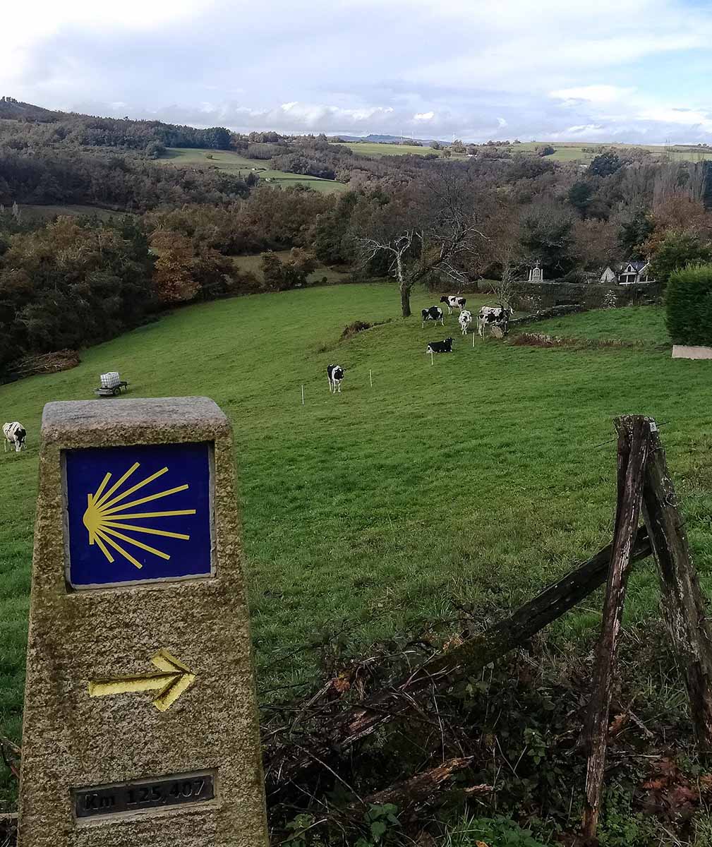 Itinarrando - Cammino Francese da Sarria - Gallery - 12