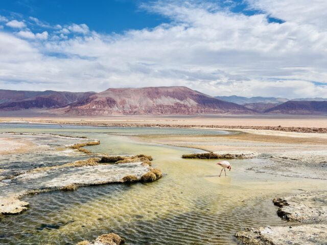 PUNA ARGENTINA: ON THE ROAD AI CONFINI DEL MONDO