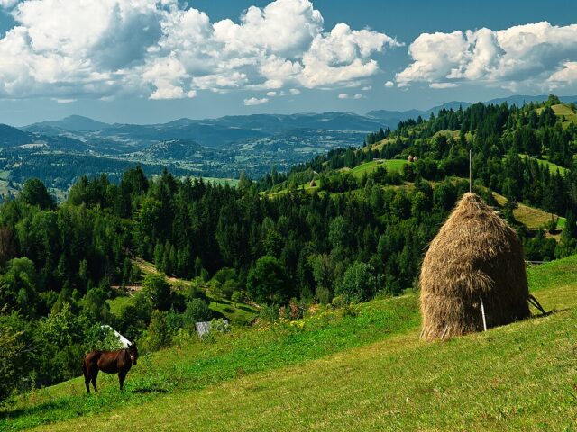 ROMANIA: IL PAESAGGIO DA FIABA DEI MARAMURES