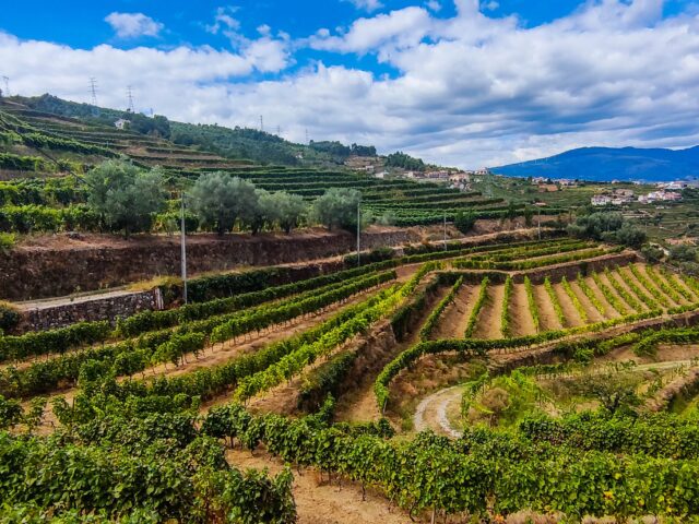 PORTOGALLO “ONDE” ROAD – ROTTA A NORD: DALLE COLLINE DEL DOURO ALLE ONDE DI NAZARÈ