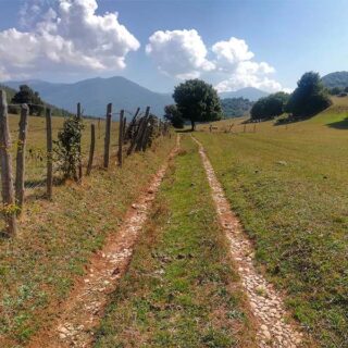 https://www.itinarrando.com/wp-content/uploads/2025/06/fiuggi-320x320.jpg