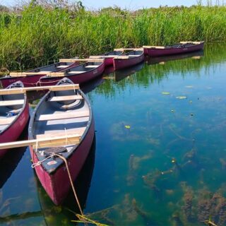 https://www.itinarrando.com/wp-content/uploads/2025/07/6-Canoa-320x320.jpg