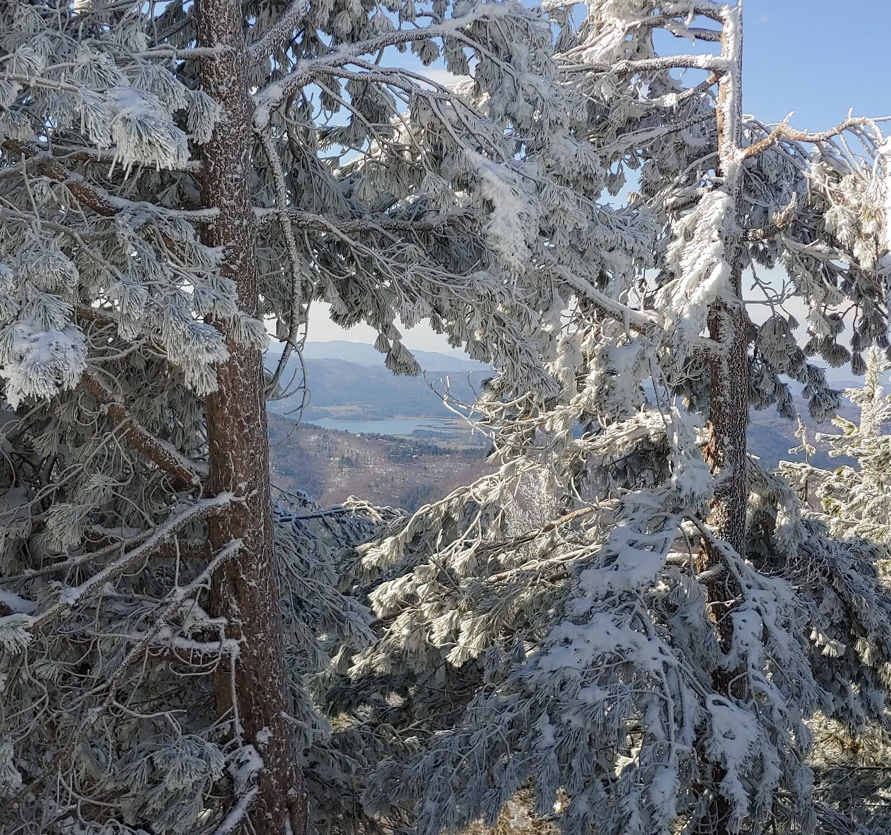 CALABRIA: CAPODANNO NEL PARCO NAZIONALE DELLA SILA
