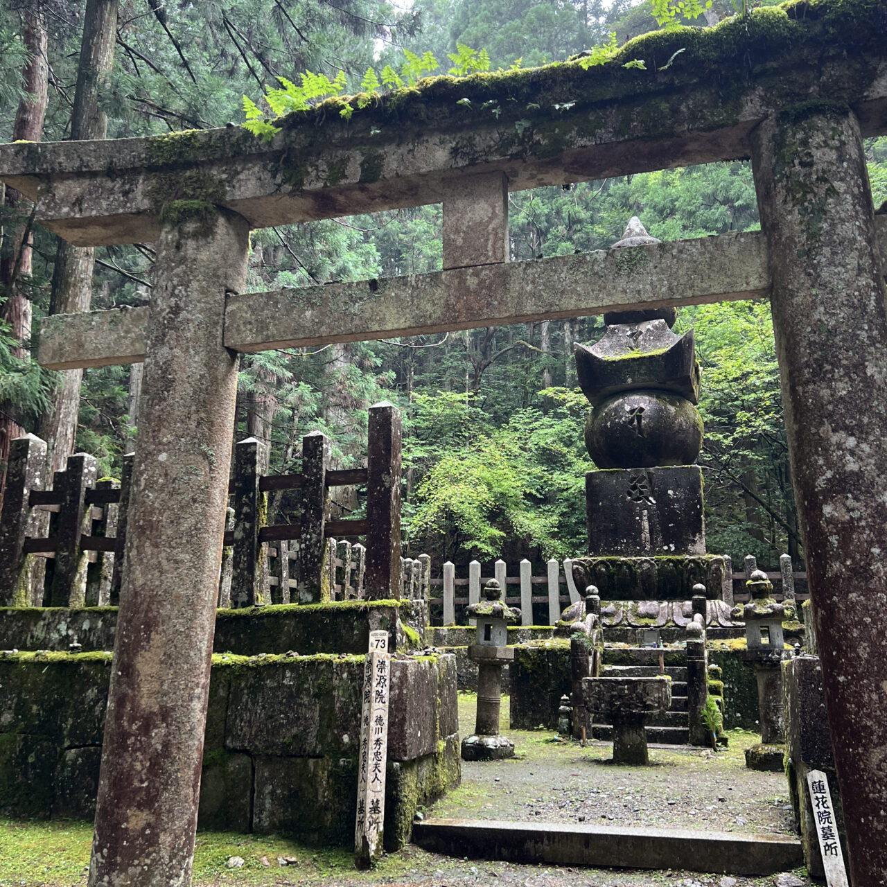 GIAPPONE - LUNGO IL CAMMINO DEL KUMANO KODO: TREKKING TRA FORESTE SACRE E ANTICHI SANTUARI