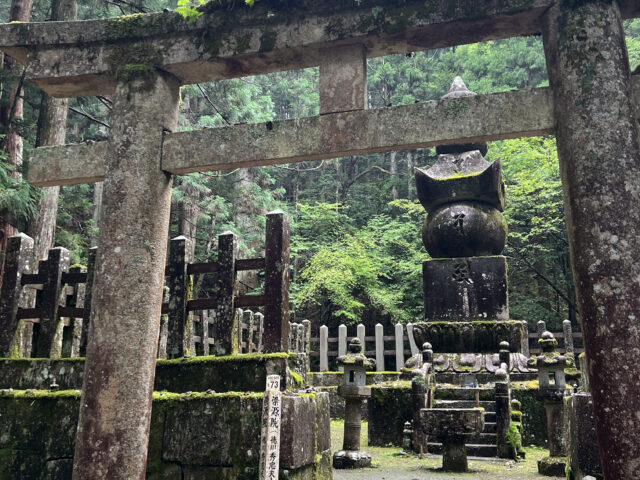GIAPPONE – LUNGO IL CAMMINO DEL KUMANO KODO: TREKKING TRA FORESTE SACRE E ANTICHI SANTUARI