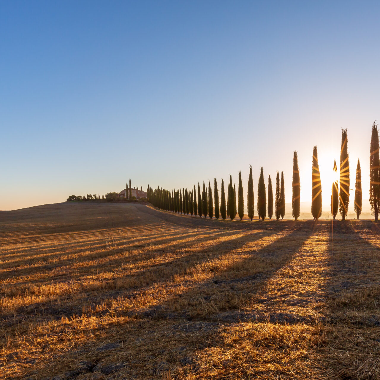 TOSCANA: VAL D’ORCIA - TRA BORGHI, VIGNETI E COLLINE SENZA TEMPO