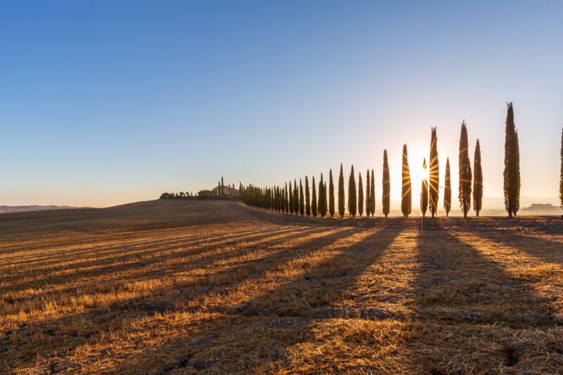 TOSCANA: VAL D’ORCIA - TRA BORGHI, VIGNETI E COLLINE SENZA TEMPO