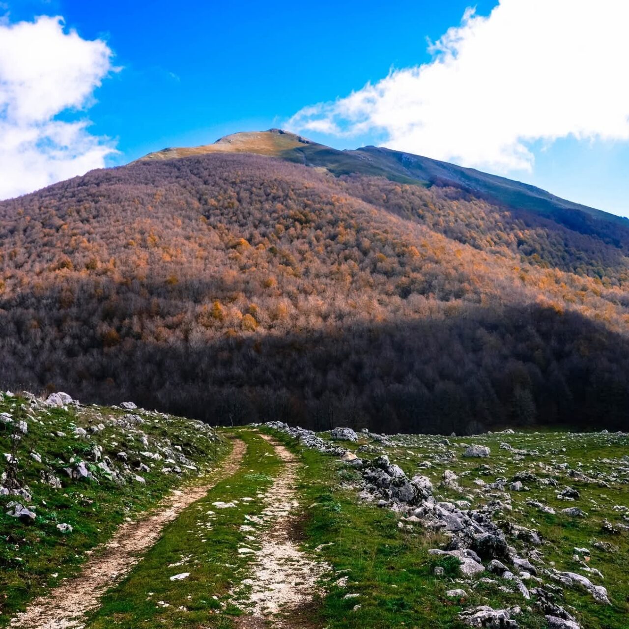 WEEKEND NEL PNALM: QUANDO IL FOLIAGE ACCENDE IL BOSCO
