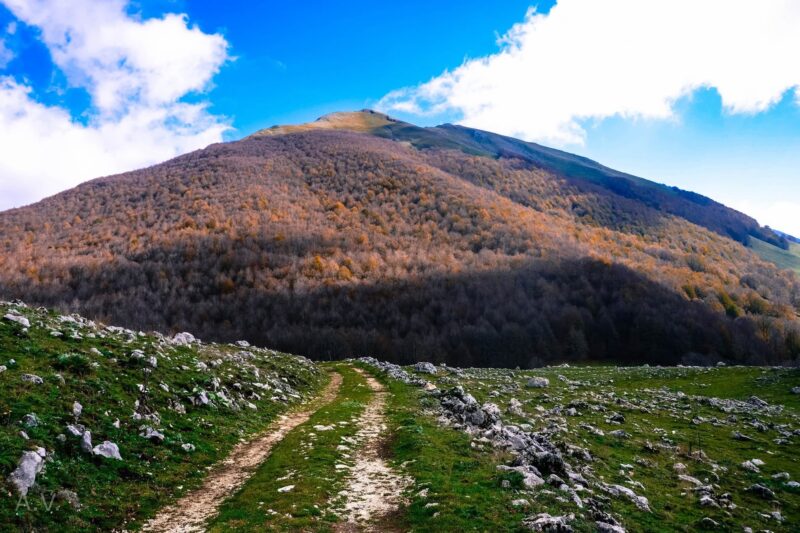 WEEKEND NEL PNALM: QUANDO IL FOLIAGE ACCENDE IL BOSCO